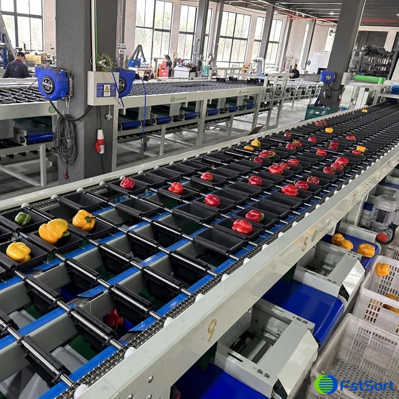 images/1678348570237Pimientos verdes 1.jpg